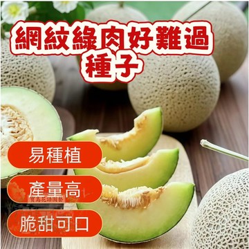 🔥熱銷 網紋綠肉哈密瓜種子 香瓜種子 營養豐富 超甜 多款哈密瓜種子   四季種植水果種子 香甜濃郁 超實惠價🍈