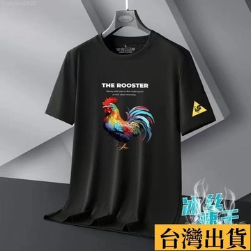 🌈台倉出庫🌈 2025新款 男裝爆款 速乾冰絲 短袖T恤 男士夏季寬鬆 大碼百搭體恤衫 潮流男T寬鬆百搭短袖 CX1