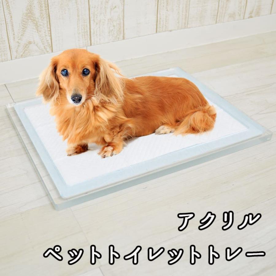 クーアイ アクリル ペットトイレトレー 犬用 トイレ クリア