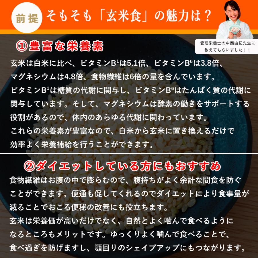 八十八夜　縄田さんちの玄米餅　400G×5パック