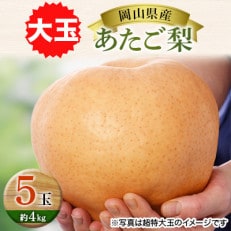 岡山県産あたご梨 大玉5玉(約4kg)