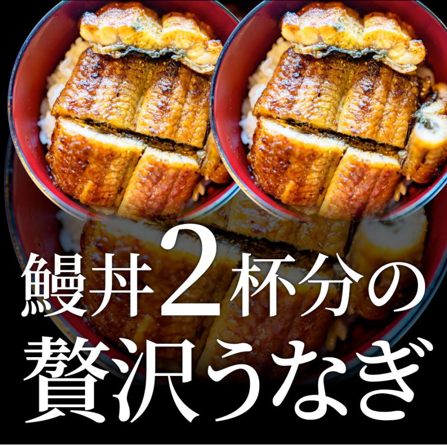 うなぎ蒲焼 1本入り（約200ｇ）たれ・山椒付き 鰻 かば焼き 土用 丑の日 湯煎 レンジOK 簡単解凍するだけ 惣菜 冷凍当日発送