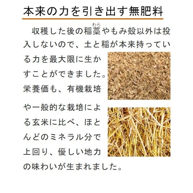 令和5年産  コシヒカリ  自然栽培  無農薬  無肥料  天日干し  玄米25kg