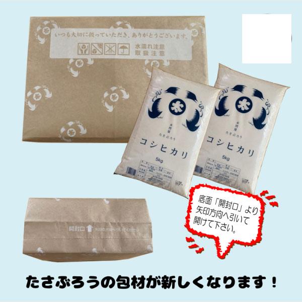 米 お米 10kg   新米 コシヒカリ 白米10kg 5kgx2袋 福島県産 令和5年