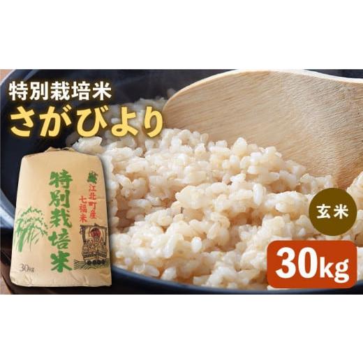 ふるさと納税 佐賀県 江北町 令和5年産 特別栽培米 新米 さがびより 玄米 30kg[HAG007]