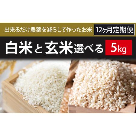 ふるさと納税 BI-80 12ヶ月定期便白米または玄米　5kg×12回 茨城県行方市