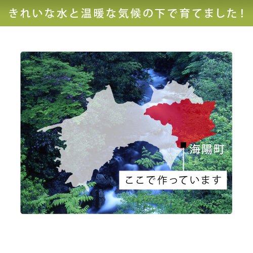 令和5年産 徳島県海陽町産 ハナエチゼン 真空パック白米 10kg