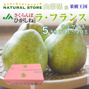 [予約 10月1日～初荷分より順次発送] 山形県産 洋梨 ラ・フランス 5kg 18玉-20玉 中玉 山形県 JAさくらんぼひがしね 果樹王国 ラフランス