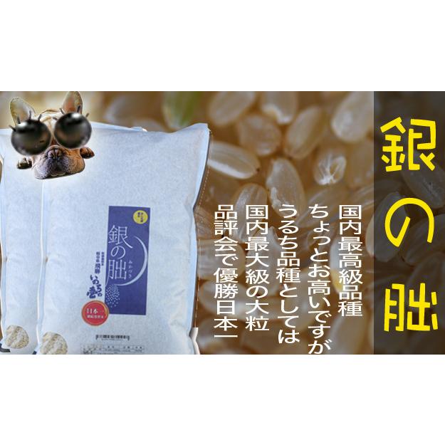 銀の朏 岐阜県 下呂産 玄米 特栽減減 令和５年産 玄米 10kg (5kg×2) 精米無料（ぎんのみかづき）