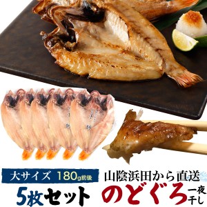 のどぐろ干物 180g 5枚 国産 産地直送 山陰浜田 アカムツ 高級魚 冷凍 おつまみ のどぐろ ノドグロ 干物 山陰 島根県産 開き 5匹 5尾 焼