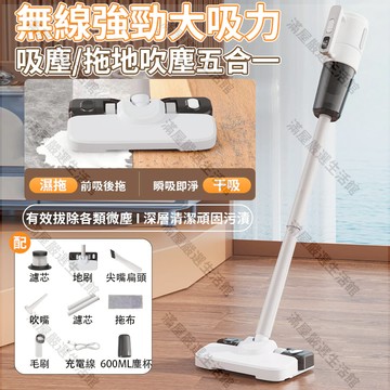 🔥隔日達+保固一年🔥新款德國無線吸塵器 大吸力功率吸塵器 家用手持超靜音 除螨寵物洗拖一體機手持吸塵器 吸塵器無線吸塵器