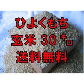 令和４年産　佐賀県産　もち米　玄米３０ｋｇ