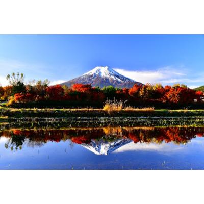 ふるさと納税 忍野村 富士山の恵”忍野のたまご”‐コクの赤玉‐30個入