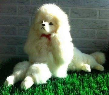 動物模型仿真貴賓犬 貴婦狗 大號寵物狗玩具攝影教科道具裝飾