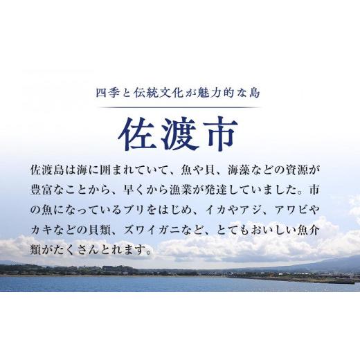 ふるさと納税 新潟県 佐渡市 佐渡産　一夜干しいか1袋2枚×２