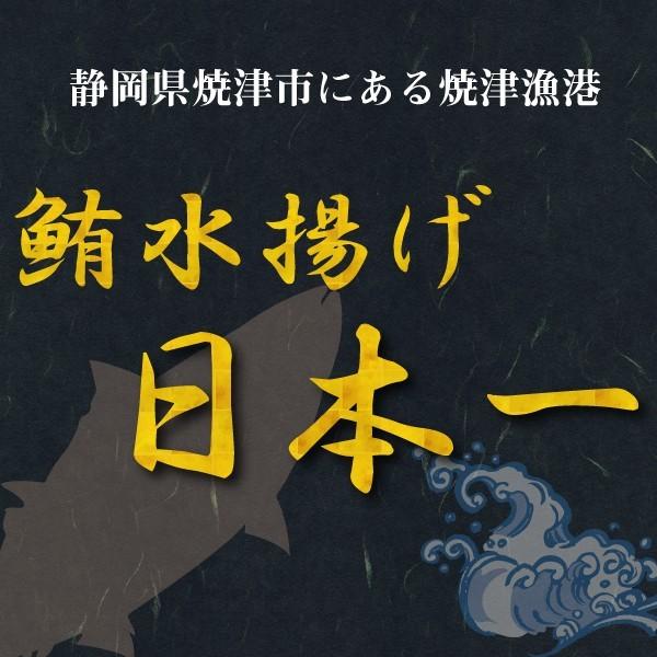 送料無料 寺岡けい吉商店 まぐろ土佐煮150g×3袋セット