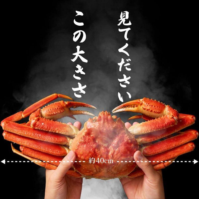 丸市岡田商店 本ズワイガニ 姿 650g 特大 ズワイ蟹 ずわいがに ずわい蟹 カニ かに 海鮮 ギフト 札幌中央卸売市場 (3尾セット)