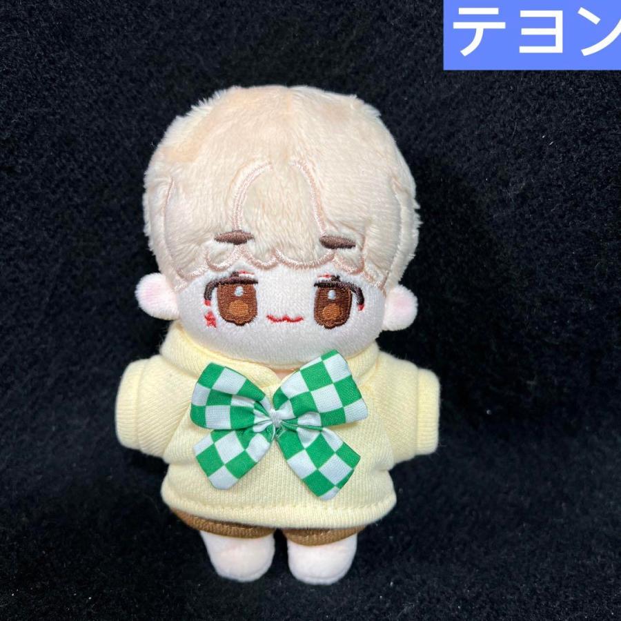 テヨン ぬいぐるみ nct dream 10cm 洋服