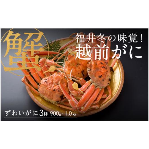 ふるさと納税 福井県 鯖江市 福井冬の味覚！越前がに 3杯（900g〜1.0kg）[P-00906]