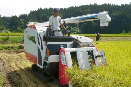 お米 こしひかり 富山県立山町産 1kg×3袋 計3kg   横山ファーム   富山県 立山町