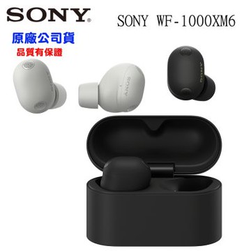 【SONY 】WF-1000XM6 旗艦真無線降噪藍牙耳機12+6 個月-正原廠公司貨