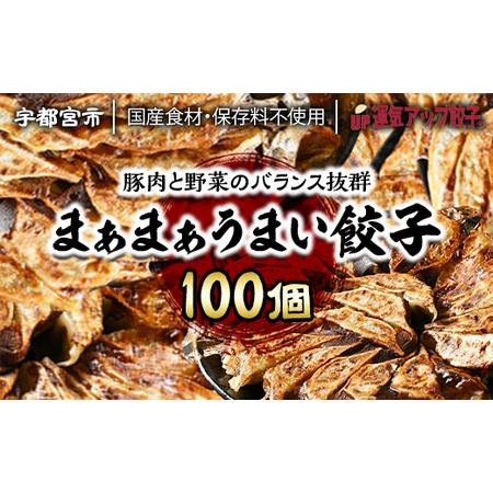 ふるさと納税 宇都宮餃子　まあまあウマイ餃子100個　保存料不使用 栃木県宇都宮市