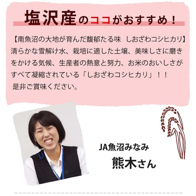 お米 5kg 魚沼コシヒカリ 塩沢産 新潟米 ギフト 内祝い 送料無料