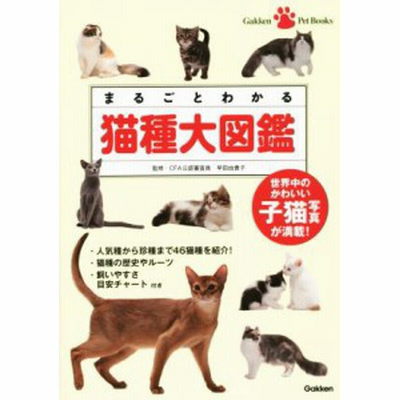 中古 まるごとわかる猫種大図鑑 世界中のかわいい子猫写真が満載 ｇａｋｋｅｎ ｐｅｔ ｂｏｏｋｓ 早田由貴子 通販 Lineポイント最大get Lineショッピング