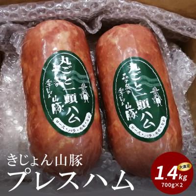 ふるさと納税 木城町 きじょん山豚 プレスハム 700g×2本セット