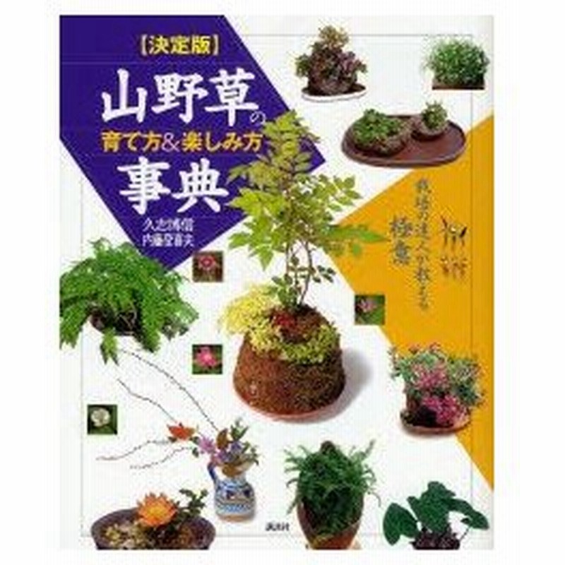 新品本 山野草の育て方 楽しみ方事典 決定版 栽培の達人が教える極意 久志博信 著 内藤登喜夫 著 通販 Lineポイント最大0 5 Get Lineショッピング