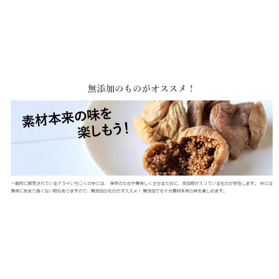 無添加 生いちじく（ドライタイプ）100g イラン産 食物繊維 ミネラル 農薬不使用 添加物・保存料一切なし おつまみ ドライフルーツ