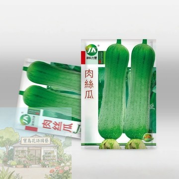 🥒原廠大包裝 肉絲瓜種子（約5g）角瓜種子菜瓜種子 短粗肉厚農家蔬菜種子 新手易種盆栽爬滿架/原裝包對版