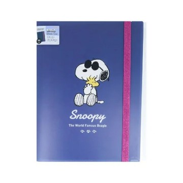 sun star正版 sun-star 🇯🇵 日本  史努比 Woodstock SNOOPY A4文件夾 夾鏈袋