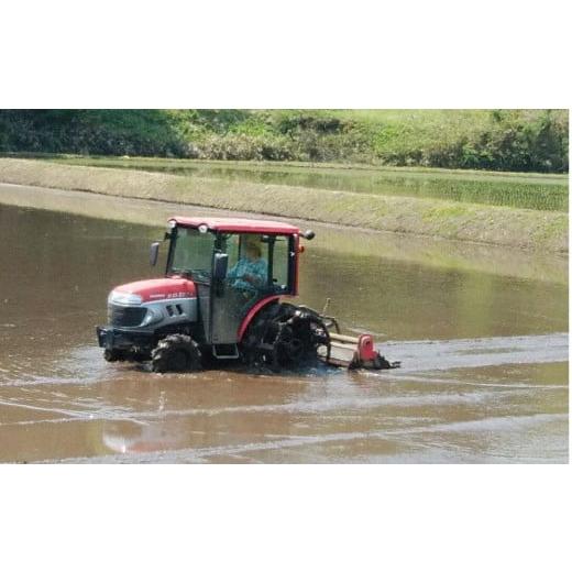 ふるさと納税 茨城県 笠間市 FL-4 かなめさんちのお米「月の舞」玄米 10kg