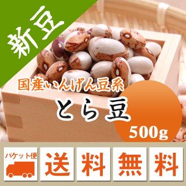 豆 とら豆 北海道産 令和５年産 メール便 送料無料 500g ※日時指定不可・代引不可・同梱不可商品