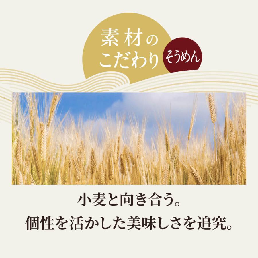 そうめん 秋ギフト  お取り寄せグルメ 誕生日 プレゼント つゆ付き 4食 生そうめん 高級 グルメ  母の日 父の日 本格 冷凍麺 素麺 にゅうめん 送料無料