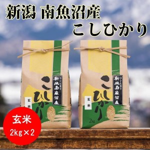 南魚沼産コシヒカリ(玄米2kg×2袋)を全6回