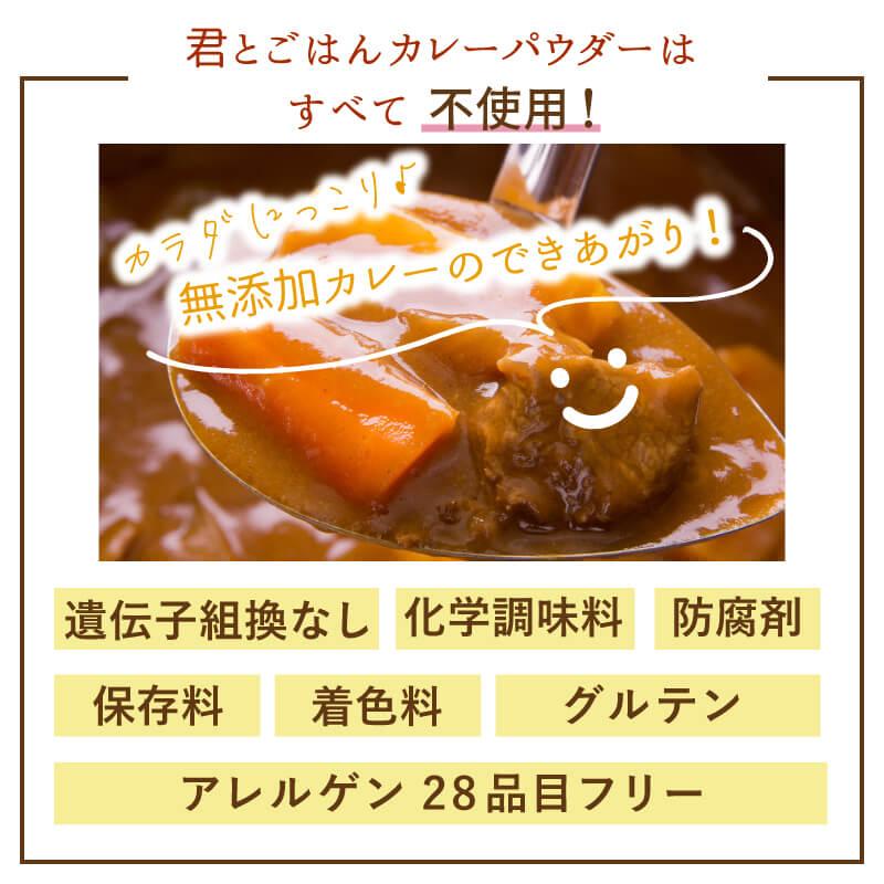 アレルゲン28品目フリーのカレーパウダー ちび辛カレーパウダー 粉末 調味料 無添加 グルテンフリー