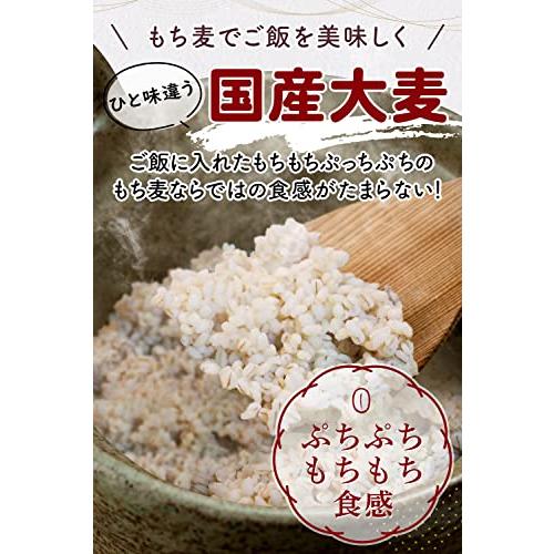 もち麦 国産 1kg 国産大麦100％ こだわりの美味しさ 無添加 食物繊維が豊富 ぷちぷちもちもち食感 いつものご飯に混ぜて炊くだけ