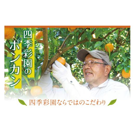 ふるさと納税 和歌山県 串本町  濃厚な甘さ！くしもとポンカン L〜2Lサイズ 10kg 柑橘 ぽんかん フル…