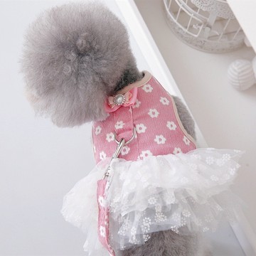 寵物 貓咪 比熊 泰迪 狗狗 衣服 秋冬裝 公主裙子 連衣裙 母狗 胸背 牽引繩 可愛寵物服裝 秋冬款式