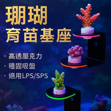 壓克力珊瑚斷枝繁殖基座 珊瑚底座 LPS/SPS生長基座