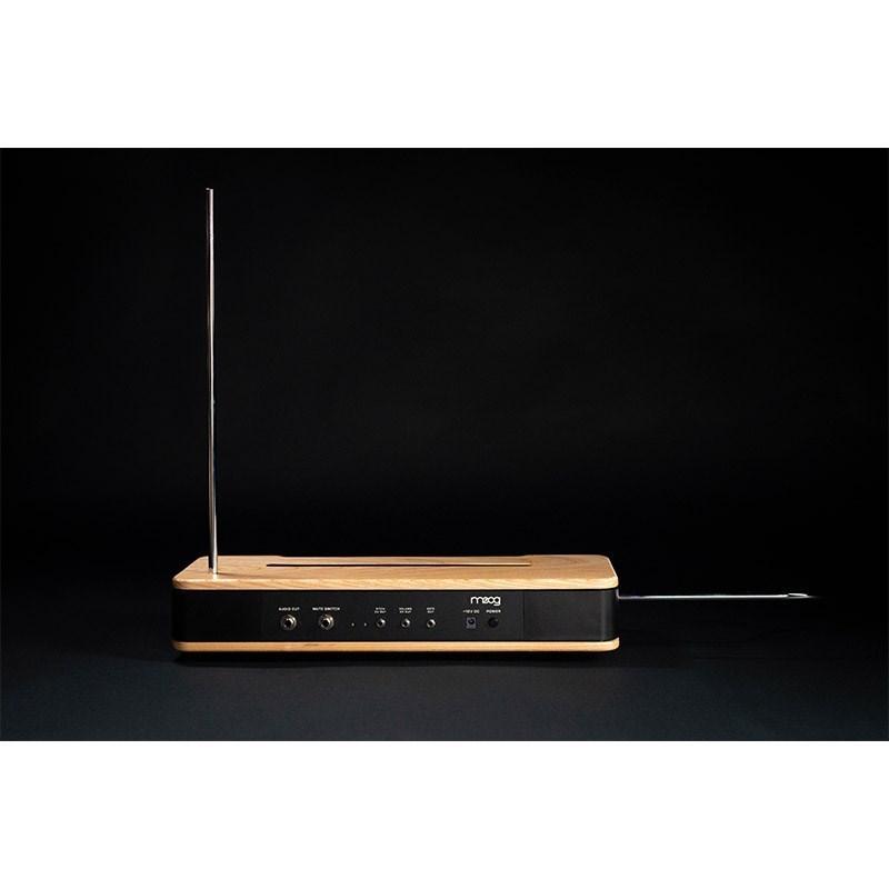 moog Etherwave Theremin 純正ケースセット