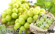 シャインマスカット 晴王 5房～10房 約4kg 岡山県産 葡萄 ぶどう 果物 フルーツ 2023年 先行予約