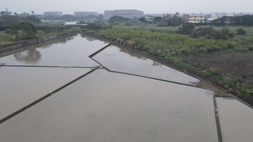 143近大華國小種菜田｜桃園市蘆竹區宏華段