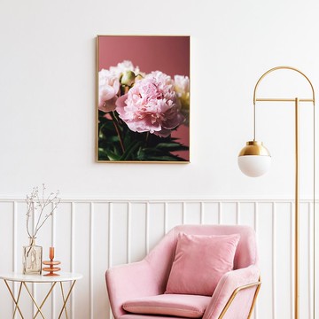 粉與白 • 牡丹II - 招福吉祥花卉掛畫/高貴典雅花卉攝影客廳裝飾
