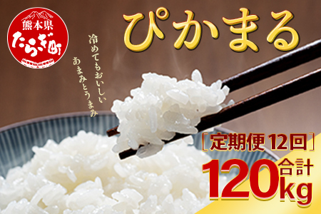 多良木町産 『ぴかまる』 ＜5kg×2袋＞×12回 計120kg 044-0595