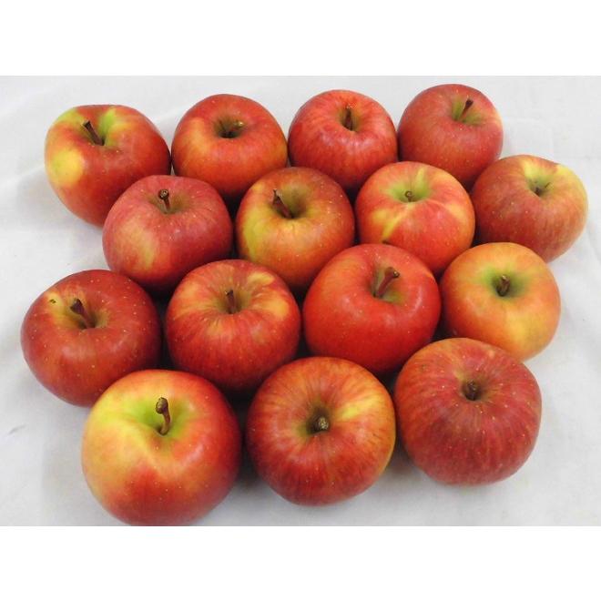 りんご 青森県 蜜だらけりんご ”こみつ” 訳あり 大きさおまかせ 約3kg こうとくりんご 送料無料