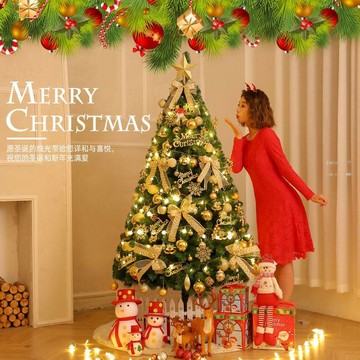 聖誕樹家用1.5米加密1.8米豪華套餐商場酒店擺件diy聖誕節裝飾品