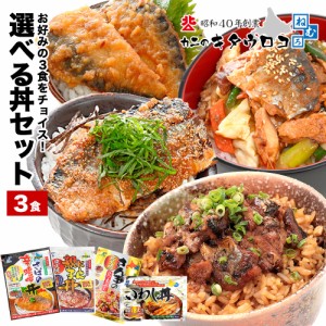 さんまのひつまぶし いわし丼 にしん親子丼 さば辛味噌丼 選べる3食セット イワシ ニシン サバ サンマ お試し ポッキリ ぽっきり 1000円